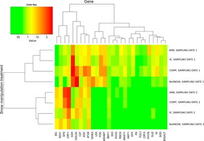 Changing winter climate and snow conditions induce various transcriptional stress responses in Scots pine seedlings